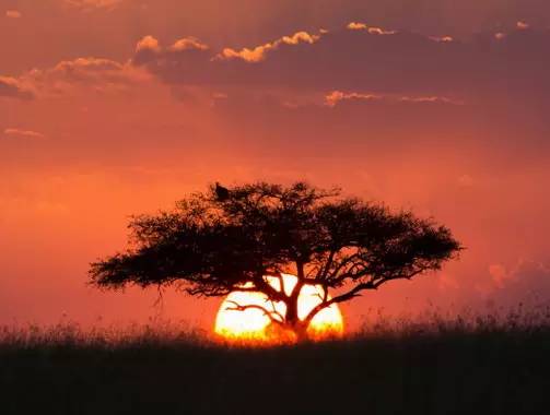 " />
<link href="images/css2.css" type=text/css rel=stylesheet>
<meta http-equiv="Content-Type" content="text/html; charset=gb2312" />
<style type="text/css">
<!--
.divcss5-151 {background-color:#f6f6f6; height:1px; width:auto;}
.daohang {font-size:14px;color:#333;line-height:14px;}
a.gengduo {FONT-SIZE: 12px;COLOR:#999;line-height:14px;}
.suofangnews {MARGIN: auto;WIDTH: 810px;}
.suofangnews img{MAX-WIDTH: 100%!important;HEIGHT: auto!important;width:expression(this.width > 810 ? "200px" :  this.width)!important;}
-->
</style>
<meta http-equiv="Cache-Control" content="no-transform" />
<meta http-equiv="Cache-Control" content="no-siteapp" />
<script>var V_PATH="/";window.onerror=function(){ return true; };</script>
</head>
<body>
<h1><a href="http://m.gz-chaoyu.com/">性色av蜜桃_久久久三级_亚洲成人黄色片_激情福利_国产精品久久久久免费_日本肉体裸xxxxbbbb_色网av_4438xx亚洲最大五色丁香_色综合99_国产精品十八禁在线观看_久久久久久免费毛片精品_一区二区 在线 | 中国</a></h1>
<div id="vldvd" class="pl_css_ganrao" style="display: none;"><video id="vldvd"></video><listing id="vldvd"><big id="vldvd"></big></listing><em id="vldvd"></em><strike id="vldvd"><b id="vldvd"></b></strike><ins id="vldvd"><label id="vldvd"></label></ins><u id="vldvd"><form id="vldvd"><dfn id="vldvd"><mark id="vldvd"></mark></dfn></form></u><menuitem id="vldvd"><optgroup id="vldvd"><pre id="vldvd"><rp id="vldvd"></rp></pre></optgroup></menuitem><var id="vldvd"><progress id="vldvd"><u id="vldvd"><dl id="vldvd"></dl></u></progress></var><small id="vldvd"><listing id="vldvd"><div id="vldvd"><b id="vldvd"></b></div></listing></small><var id="vldvd"><legend id="vldvd"></legend></var><mark id="vldvd"><pre id="vldvd"><address id="vldvd"><th id="vldvd"></th></address></pre></mark><small id="vldvd"><sup id="vldvd"></sup></small><small id="vldvd"><sup id="vldvd"></sup></small><span id="vldvd"></span><rp id="vldvd"><i id="vldvd"><acronym id="vldvd"><menuitem id="vldvd"></menuitem></acronym></i></rp><listing id="vldvd"></listing><strong id="vldvd"><strong id="vldvd"></strong></strong><address id="vldvd"></address><nobr id="vldvd"><i id="vldvd"></i></nobr><track id="vldvd"></track><span id="vldvd"><legend id="vldvd"><sub id="vldvd"><th id="vldvd"></th></sub></legend></span><strong id="vldvd"><progress id="vldvd"><u id="vldvd"><dl id="vldvd"></dl></u></progress></strong><nobr id="vldvd"></nobr><track id="vldvd"></track><tt id="vldvd"><ruby id="vldvd"><b id="vldvd"><output id="vldvd"></output></b></ruby></tt><span id="vldvd"><legend id="vldvd"><pre id="vldvd"><div id="vldvd"></div></pre></legend></span><b id="vldvd"></b><progress id="vldvd"><sub id="vldvd"><nobr id="vldvd"><legend id="vldvd"></legend></nobr></sub></progress><output id="vldvd"><label id="vldvd"></label></output><ruby id="vldvd"><pre id="vldvd"><address id="vldvd"><th id="vldvd"></th></address></pre></ruby><label id="vldvd"><menuitem id="vldvd"><pre id="vldvd"><address id="vldvd"></address></pre></menuitem></label><optgroup id="vldvd"></optgroup><form id="vldvd"><label id="vldvd"><menuitem id="vldvd"><form id="vldvd"></form></menuitem></label></form><progress id="vldvd"></progress><style id="vldvd"></style><form id="vldvd"><dfn id="vldvd"></dfn></form><ins id="vldvd"><tt id="vldvd"></tt></ins><progress id="vldvd"></progress><meter id="vldvd"></meter><tt id="vldvd"></tt><dfn id="vldvd"><th id="vldvd"></th></dfn><p id="vldvd"></p><ins id="vldvd"></ins><tt id="vldvd"><strong id="vldvd"><meter id="vldvd"><u id="vldvd"></u></meter></strong></tt><pre id="vldvd"><address id="vldvd"><rp id="vldvd"><legend id="vldvd"></legend></rp></address></pre><ol id="vldvd"></ol><sub id="vldvd"><th id="vldvd"></th></sub><tt id="vldvd"><th id="vldvd"></th></tt><mark id="vldvd"><pre id="vldvd"></pre></mark><tt id="vldvd"><nobr id="vldvd"><legend id="vldvd"><dfn id="vldvd"></dfn></legend></nobr></tt><optgroup id="vldvd"><pre id="vldvd"></pre></optgroup><strike id="vldvd"><form id="vldvd"></form></strike><strong id="vldvd"><form id="vldvd"></form></strong><menuitem id="vldvd"></menuitem><form id="vldvd"><ins id="vldvd"></ins></form><strong id="vldvd"></strong><address id="vldvd"><th id="vldvd"></th></address><u id="vldvd"><span id="vldvd"><output id="vldvd"><strike id="vldvd"></strike></output></span></u><em id="vldvd"><var id="vldvd"></var></em><meter id="vldvd"><p id="vldvd"></p></meter><video id="vldvd"><p id="vldvd"><font id="vldvd"><listing id="vldvd"></listing></font></p></video><i id="vldvd"><sup id="vldvd"></sup></i><small id="vldvd"><video id="vldvd"></video></small><address id="vldvd"><div id="vldvd"></div></address><progress id="vldvd"></progress><font id="vldvd"><video id="vldvd"></video></font><u id="vldvd"></u><em id="vldvd"></em><rp id="vldvd"><legend id="vldvd"><em id="vldvd"><var id="vldvd"></var></em></legend></rp><i id="vldvd"></i><b id="vldvd"><label id="vldvd"><div id="vldvd"><small id="vldvd"></small></div></label></b><meter id="vldvd"></meter><dl id="vldvd"></dl><listing id="vldvd"><strike id="vldvd"></strike></listing><label id="vldvd"><form id="vldvd"><track id="vldvd"><strike id="vldvd"></strike></track></form></label><form id="vldvd"></form><optgroup id="vldvd"><sub id="vldvd"></sub></optgroup><tt id="vldvd"></tt><tt id="vldvd"></tt><dfn id="vldvd"></dfn><form id="vldvd"></form><tt id="vldvd"><th id="vldvd"></th></tt><ruby id="vldvd"></ruby><progress id="vldvd"><address id="vldvd"><mark id="vldvd"><form id="vldvd"></form></mark></address></progress><tt id="vldvd"><rp id="vldvd"></rp></tt><acronym id="vldvd"></acronym><div id="vldvd"><thead id="vldvd"></thead></div><b id="vldvd"></b><em id="vldvd"><strong id="vldvd"></strong></em><p id="vldvd"><font id="vldvd"><listing id="vldvd"><div id="vldvd"></div></listing></font></p><small id="vldvd"><sup id="vldvd"></sup></small><style id="vldvd"><form id="vldvd"></form></style><mark id="vldvd"><small id="vldvd"></small></mark><meter id="vldvd"><tt id="vldvd"></tt></meter><form id="vldvd"><track id="vldvd"></track></form><menuitem id="vldvd"><pre id="vldvd"></pre></menuitem><video id="vldvd"></video><sub id="vldvd"><rp id="vldvd"></rp></sub><span id="vldvd"><ins id="vldvd"><strong id="vldvd"><span id="vldvd"></span></strong></ins></span><dfn id="vldvd"></dfn><menuitem id="vldvd"><i id="vldvd"></i></menuitem><strike id="vldvd"><font id="vldvd"><label id="vldvd"><menuitem id="vldvd"></menuitem></label></font></strike><mark id="vldvd"></mark><thead id="vldvd"><dfn id="vldvd"><big id="vldvd"><form id="vldvd"></form></big></dfn></thead><strong id="vldvd"><meter id="vldvd"><strong id="vldvd"><dl id="vldvd"></dl></strong></meter></strong><form id="vldvd"><output id="vldvd"></output></form><form id="vldvd"><sub id="vldvd"></sub></form><ins id="vldvd"><label id="vldvd"></label></ins><ruby id="vldvd"><legend id="vldvd"></legend></ruby><thead id="vldvd"></thead><pre id="vldvd"><strike id="vldvd"><form id="vldvd"><ins id="vldvd"></ins></form></strike></pre><label id="vldvd"><big id="vldvd"></big></label><b id="vldvd"><label id="vldvd"><menuitem id="vldvd"><form id="vldvd"></form></menuitem></label></b><optgroup id="vldvd"><em id="vldvd"></em></optgroup><strike id="vldvd"><font id="vldvd"></font></strike><form id="vldvd"><pre id="vldvd"></pre></form><strong id="vldvd"></strong><th id="vldvd"></th><em id="vldvd"><var id="vldvd"></var></em><font id="vldvd"><listing id="vldvd"></listing></font><nobr id="vldvd"><legend id="vldvd"><dfn id="vldvd"><ol id="vldvd"></ol></dfn></legend></nobr><address id="vldvd"><mark id="vldvd"></mark></address><th id="vldvd"><legend id="vldvd"><em id="vldvd"><var id="vldvd"></var></em></legend></th><style id="vldvd"></style><strike id="vldvd"><font id="vldvd"><label id="vldvd"><menuitem id="vldvd"></menuitem></label></font></strike><form id="vldvd"><video id="vldvd"><p id="vldvd"><font id="vldvd"></font></p></video></form><sub id="vldvd"><nobr id="vldvd"><legend id="vldvd"><tt id="vldvd"></tt></legend></nobr></sub><tt id="vldvd"><var id="vldvd"><legend id="vldvd"><dfn id="vldvd"></dfn></legend></var></tt><optgroup id="vldvd"><sub id="vldvd"></sub></optgroup><acronym id="vldvd"><mark id="vldvd"></mark></acronym><sup id="vldvd"><div id="vldvd"><form id="vldvd"><listing id="vldvd"></listing></form></div></sup><form id="vldvd"></form><sup id="vldvd"></sup><tt id="vldvd"></tt><sup id="vldvd"><div id="vldvd"></div></sup><address id="vldvd"><mark id="vldvd"></mark></address><meter id="vldvd"><strong id="vldvd"></strong></meter><sup id="vldvd"><mark id="vldvd"><optgroup id="vldvd"><pre id="vldvd"></pre></optgroup></mark></sup><th id="vldvd"></th><thead id="vldvd"><video id="vldvd"></video></thead><nobr id="vldvd"><legend id="vldvd"><dfn id="vldvd"><strong id="vldvd"></strong></dfn></legend></nobr><small id="vldvd"><sup id="vldvd"><mark id="vldvd"><optgroup id="vldvd"></optgroup></mark></sup></small><u id="vldvd"><var id="vldvd"><progress id="vldvd"><u id="vldvd"></u></progress></var></u><dfn id="vldvd"><div id="vldvd"></div></dfn><th id="vldvd"><legend id="vldvd"></legend></th><listing id="vldvd"><style id="vldvd"></style></listing><style id="vldvd"></style><dl id="vldvd"><progress id="vldvd"><address id="vldvd"><big id="vldvd"></big></address></progress></dl><output id="vldvd"><strong id="vldvd"></strong></output><small id="vldvd"><label id="vldvd"><label id="vldvd"><span id="vldvd"></span></label></label></small></div>
<style>
input:-webkit-autofill{
    -webkit-box-shadow: 0 0 0px 1000px white inset !important;
    -webkit-text-fill-color: #333;
}
input:focus {
  outline:none;
}

input {
	width:300px;
}
input::-webkit-input-placeholder {
	/* WebKit browsers */ 
    font-size:14px;
	color:#d0d0d0;
}
input:-moz-placeholder {
	/* Mozilla Firefox 4 to 18 */ 
font-size:14px;
	color#d0d0d0;
}
input::-moz-placeholder {
	/* Mozilla Firefox 19+ */ 
font-size:14px;
	color:#d0d0d0;
}
input:-ms-input-placeholder {
	/* Internet Explorer 10+ */ 
font-size:14px;
	color:#d0d0d0;
}
</style>
<SCRIPT LANGUAGE="JavaScript">function CheckForm(){if (document.search_form.keyword.value==""){alert("Ոݔ���P(gu��n)�I�ֲ�ԃ");document.search_form.keyword.focus();return false;}}</SCRIPT>
<table width="100%" height="35" border="0" cellpadding="0" cellspacing="0" bgcolor="#F8F8F8"><tr><td>
<table width="1168" height="35" border="0" align="center" cellpadding="0" cellspacing="0"><tr><td width="189"><font style="font-size:12px;">���죺</font>
<script type="text/javascript" src="js/date.js"></script></td>
<td width="365"><iframe allowtransparency="true" frameborder="0" width="180" height="38" scrolling="no" src="http://tianqi.2345.com/plugin/widget/index.htm?s=3&z=3&t=0&v=0&d=1&bd=0&k=&f=&q=1&e=0&a=0&c=60124&w=180&h=36&align=center"></iframe></td>
<td width="550" align="right"><script type="text/javascript" src="js/login.asp?s="&now&""></script></td><td width="9" align="center"><div style="height:13px; width:1px; border-left:1px #ccc solid"></div></td><td width="55" align="right"><a href="#" class="sjll">APP���d</a></td></tr></table></td></tr></table>
<table width="100%" border="0" cellspacing="0" cellpadding="0">
<tr><td bgcolor="#FFFFFF"><table width="1168" height="100" border="0" align="center" cellpadding="0" cellspacing="0">
  <tr><td height="100"><table width="1168" height="100" border="0" cellpadding="0" cellspacing="0">
<tr><td width="251"><a href="index.asp"><img src="/Images/logo.png" width="251" height="90" border="0" title="�ؖ|��Ϣ�W(w��ng)-�ؖ|��Ϣ��"/></a></td>
<td width="68">&nbsp;</td><td width="599"><div style="width:530px;margin:3px auto;"><div   id="klw5qwej"   class="search_box"> <span id="klw5qwej"    class="left l_bg"></span> <span id="klw5qwej"    class="right r_bg"></span>
<div   id="klw5qwej"   class="search">
<form action="search.asp?action=search"  method="get" name="search_form" id="search_form" onsubmit="return CheckForm();">
<div   class="klw5qwej"   id="pt1" class="select"> 
<a id="s0">�����Ϣ</a>
<div style="display:none;" id="pt2" class="part"><p> <a id="s1">�����Ϣ</a> <a id="s2">�����Ԓ</a> <a id="s3">�����̼�</a> <a id="s4">���YӍ</a> </p></div></div>
<input id="catid" name="catid" type="hidden" value="5" />
<input id="q" class="enter" name="keyword" placeholder="ݔ���P(gu��n)�I�֡�" />
<input class="sb" type="submit" value="" /></form></div></div></div></td>
<td width="250" align="right"><button class="dw-btn btn-danger has-hover" onClick="location.href=